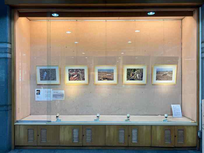 114.12.31《路上風景：介入》曾俊義、鍾曉梅雙個展