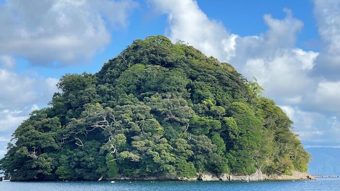 114.12.31《路上風景：介入》曾俊義、鍾曉梅雙個展